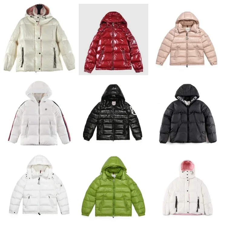 Moncler Montbeliard series hooded warm short zipper down jacket